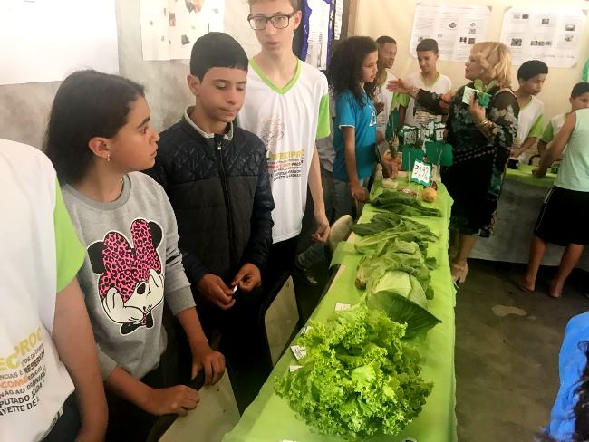 Feira de Ciências e Produtos do Campo organizada por professores e alunos foi aberta a toda a comunidade. Foto: Arquivo / Escola